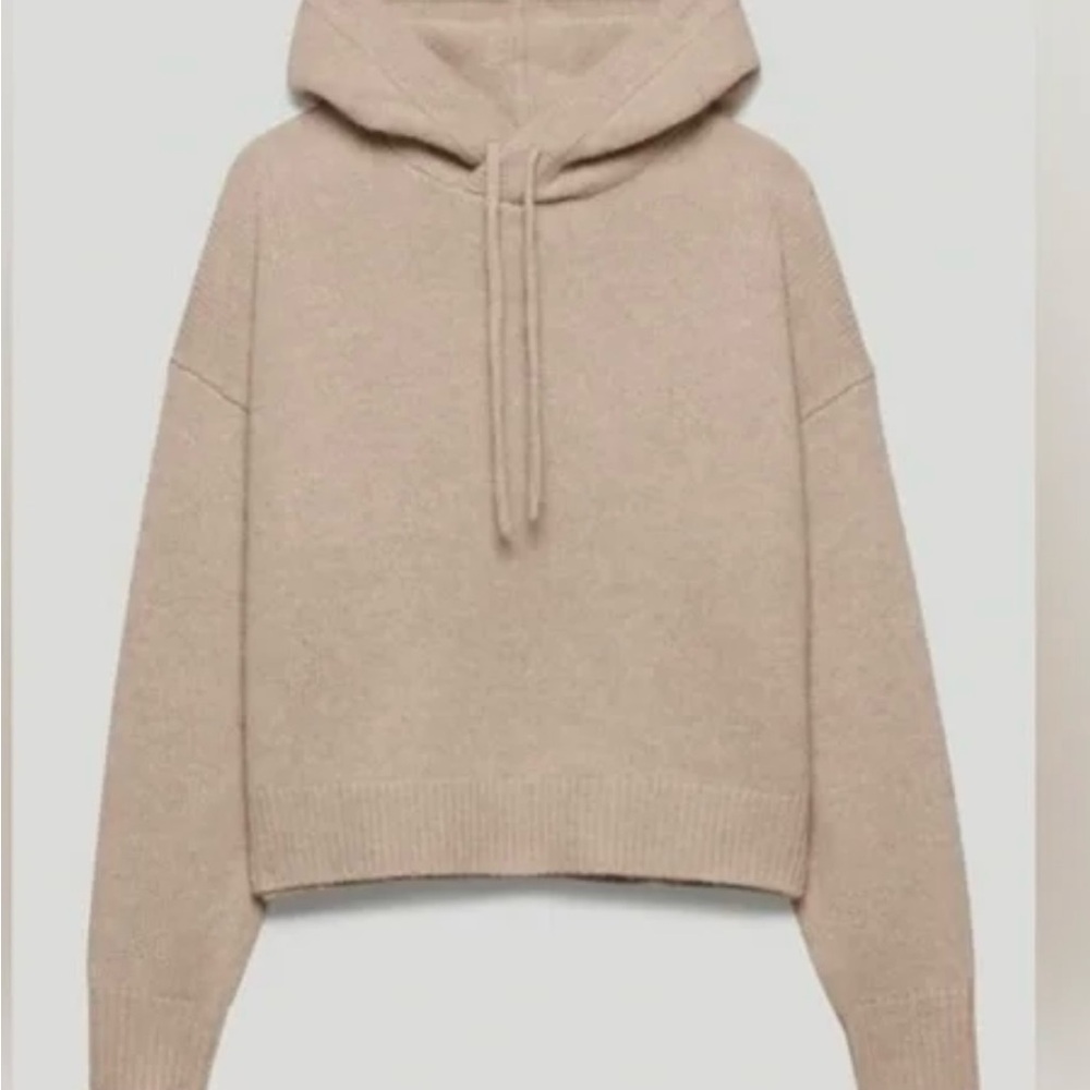 Aritzia the group by babaton cashmere Tan Hoodie